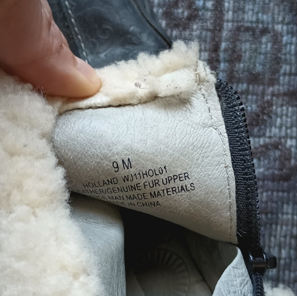 Jambu Holland - Picture 7 of 8